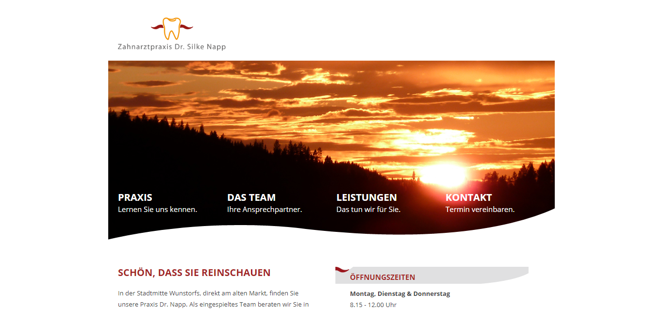 Screenshot der Homepage von Zahnarztpraxis Dr. Silke Napp